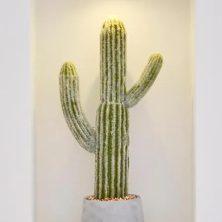 Apartman Avenida Da Liberdade *