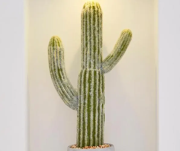 Appartamento Avenida Da Liberdade *